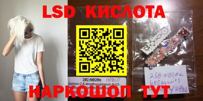 прущие грибы Малгобек